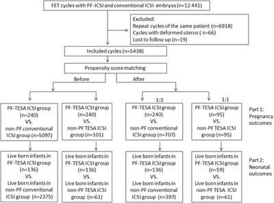 Pregnancy and neonatal outcomes of ICSI using pentoxifylline to identify viable spermatozoa in patients with frozen-thawed testicular spermatozoa